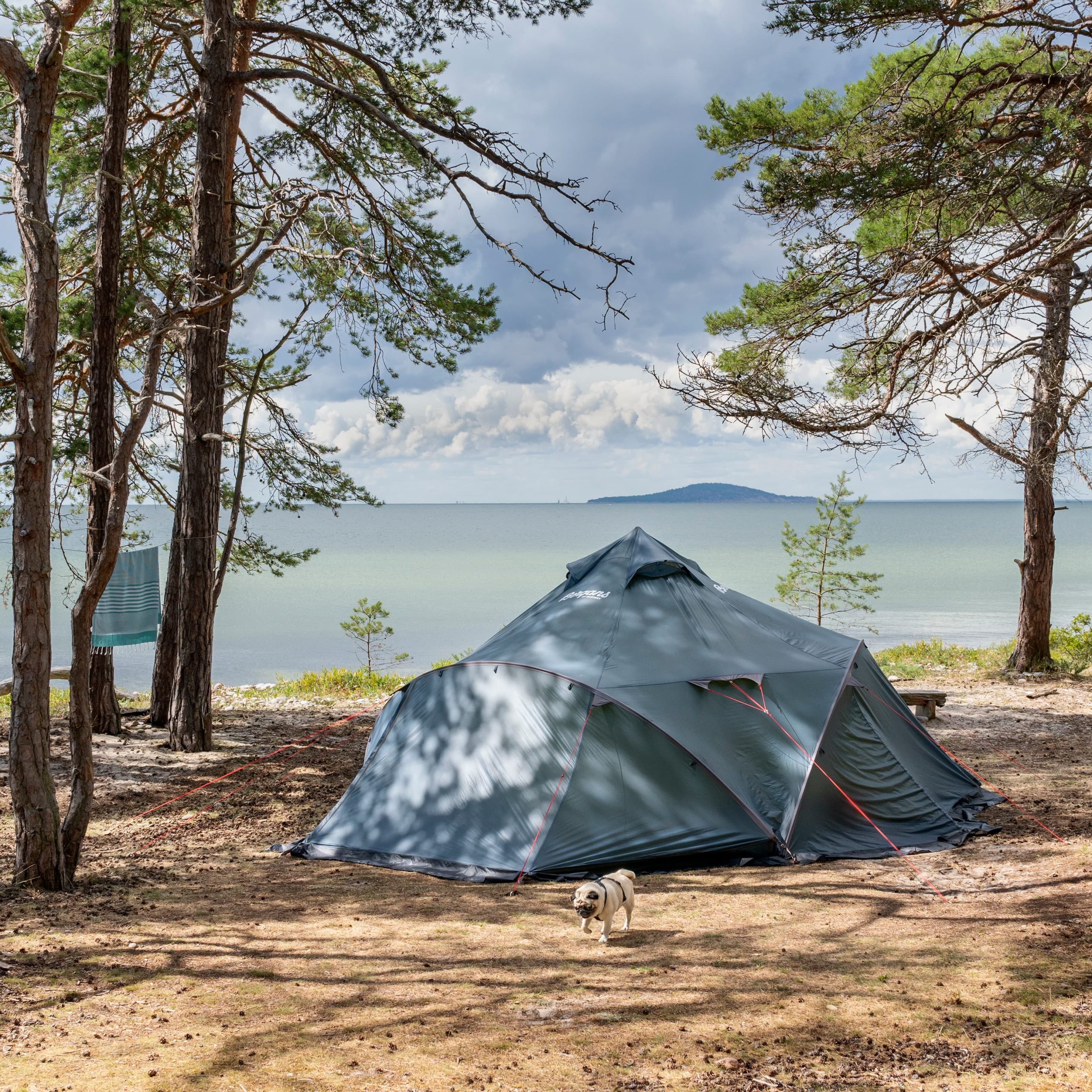 Tält vid Ölands västkust.